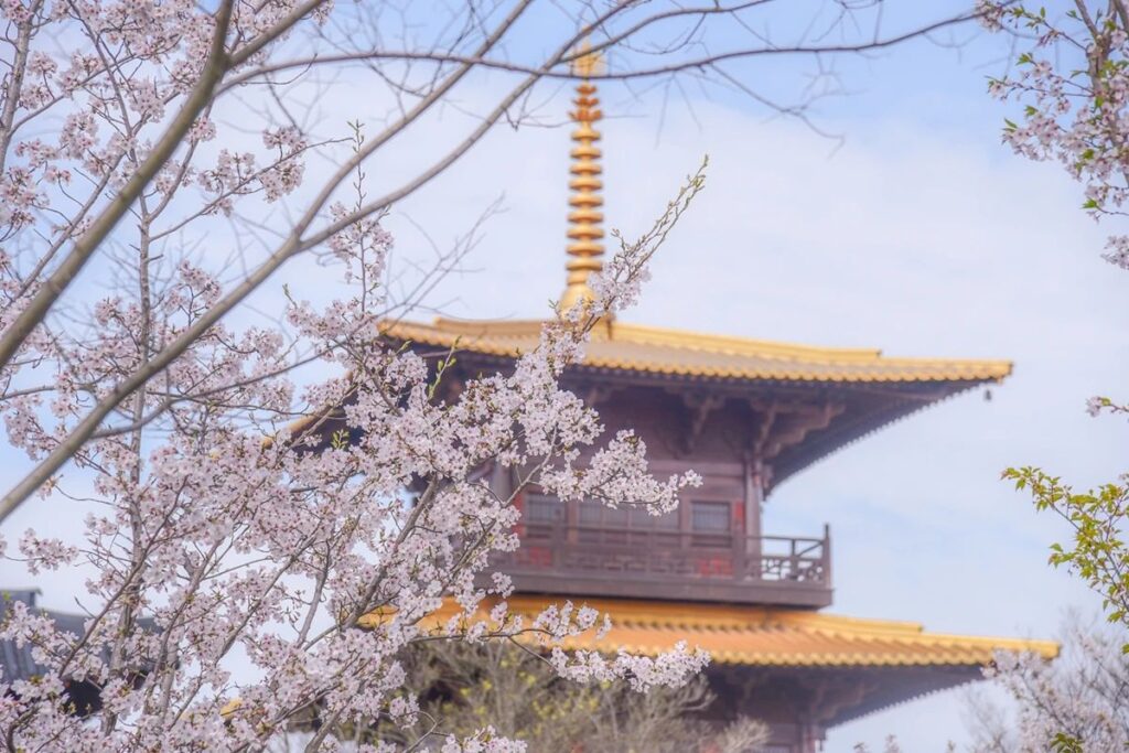 旅游目的地 | 上海之根——松江广富林文化遗址 – 上海旅游产业博览会